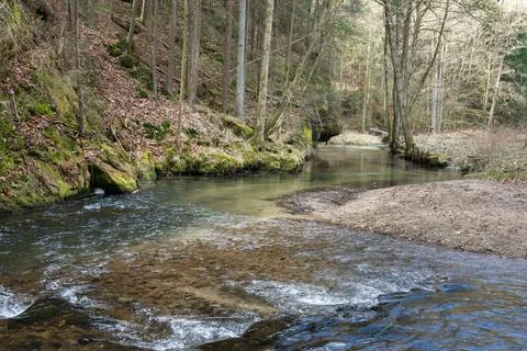 S shaped narrow river in the forest during early spring Stock Photos