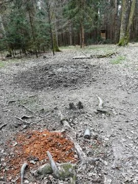 S U L E   very  little and wet mul Foto stock