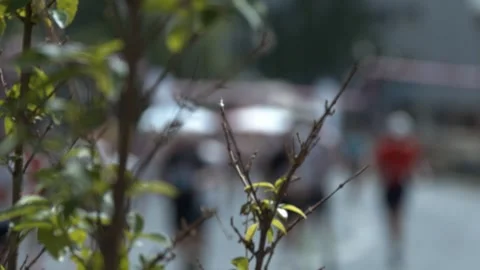 S25 Berlin Focus Shift Plant to Runners Nollendorfplatz May 2023 Stock Footage 332126909