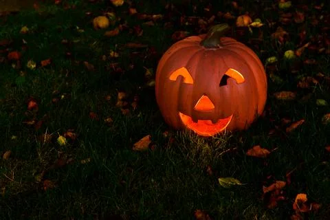 S9089 Photos