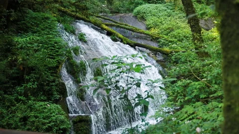 An sa ded waterfall on kew mae pan nature trail which is a tropical rainforest, Stock Footage 163654899