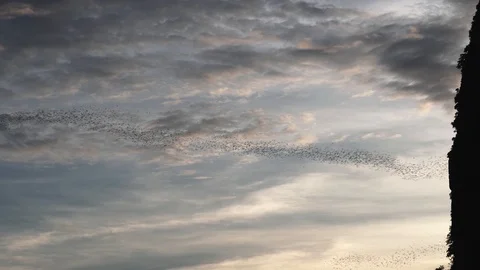 Sa kaeo sony00376087 Stock Footage 112682772