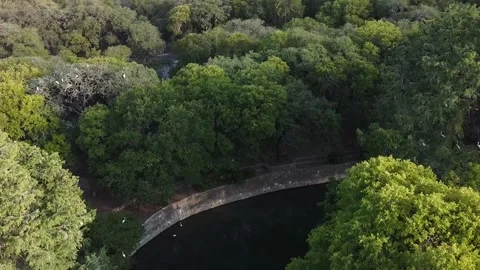 SA river  Brackenridge Stock Footage 290819417