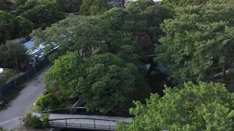 SA river Brackenridge Park Stock Footage 290819421