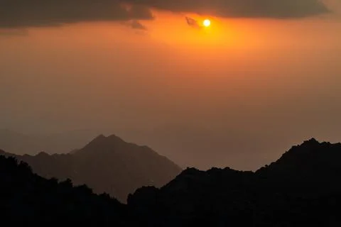 SA0 3317 스톡 사진