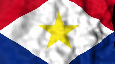 Saba 3840x2160UHD Video stock 312618438