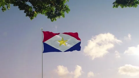 Saba Flag With  Modern City  Stock-Footage 152921285