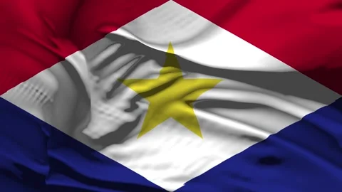 Saba Romania Flag Wave Loop waving in wind Realistic Romania Flag background Vidéo 341648864
