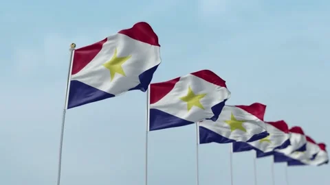 Saba Row Of Flags Animation 스톡 동영상 136242861