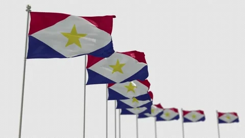 Saba Row Of Flags Animation Include Alpha Channel  Stock-Footage 163423883