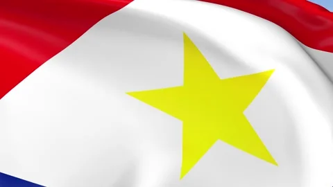 Saba Waving Flag Background Loop Stock Footage 317848810