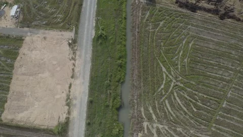 Sabah, Malaysia - Paddy Fields drone shot 2 Stock Footage 247397575