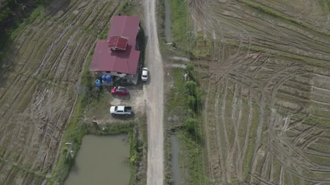 Sabah, Malaysia - Paddy Fields drone shot 1 Stock Footage 247397640