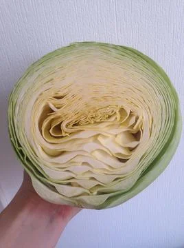 Сabbage Fotos de archivo