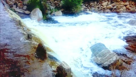 Sabino canyon flood Stockbeeldmateriaal 239487699