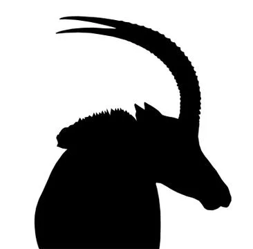 Sable bull portrait side view isolated silhouette Stock Illustration