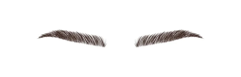 Sable style eyebrows. Permanent make-up and lamination. Brow studio logo. Linear Stock Illustration