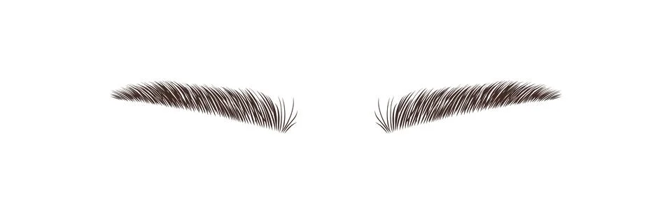 Sable style eyebrows. Permanent make-up and lamination. Brow studio logo. Linear Stock Illustration