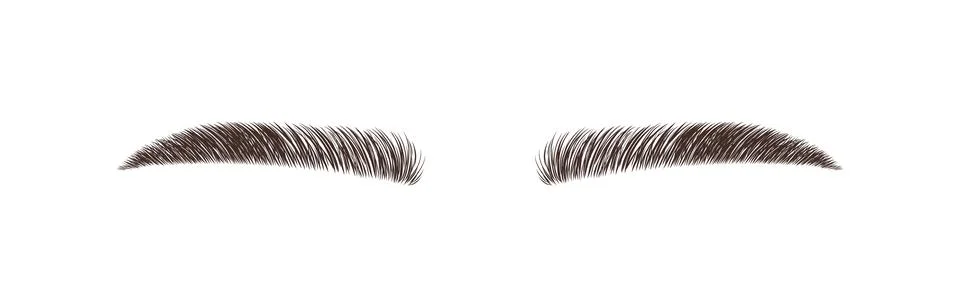 Sable style eyebrows. Permanent make-up and lamination. Brow studio logo. Linear Stock Illustration