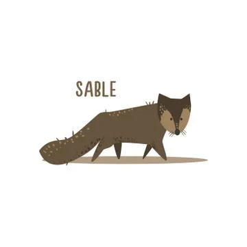 Sable Vector Illustration 스톡 일러스트