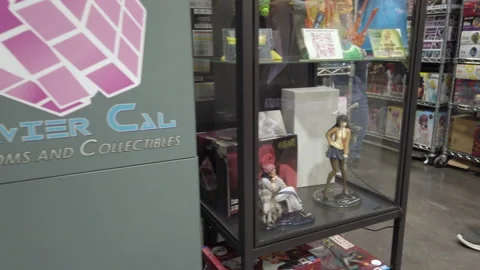 SacAnime 2022 Stock Footage 213686636