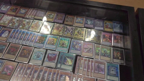 SacAnime Stock Footage 219370712