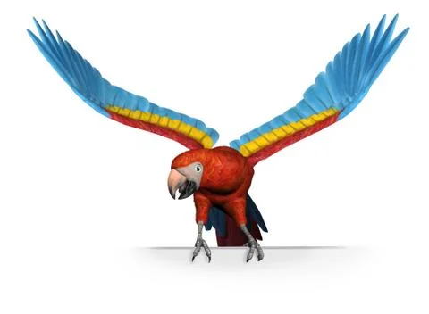 Sacarlet Macaw on Edge Stock Illustration