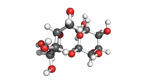 Saccharose molecule, rotating ball and stick model 스톡 동영상 24603871