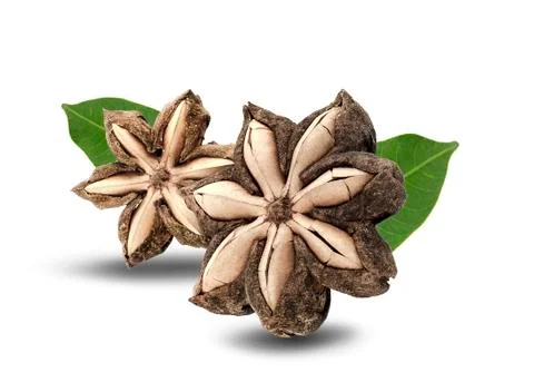 Sacha inchi peanut seed isolate on white background Stock Photos