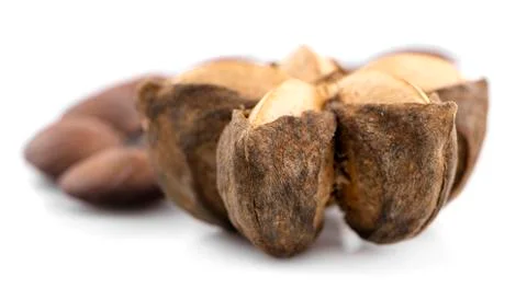 Sacha inchi peanut seed isolate on white  background Foto stock