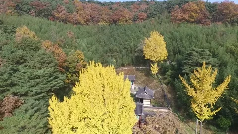 Sacheon Gugye Seowon 1 Stock Footage 317536679