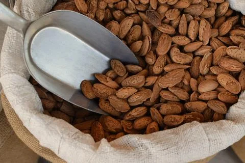 Sack with fresh almonds in shell Stock-Fotos