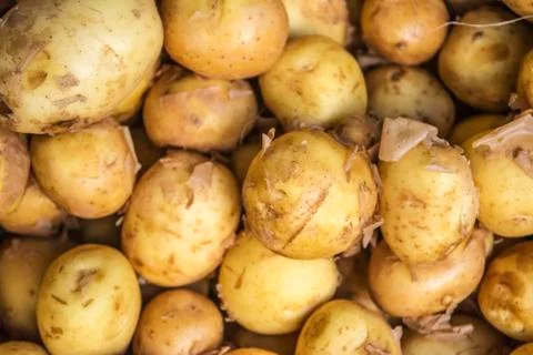 Sack fuls of potatoes Stock Photos