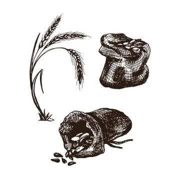 Sack with Grains or Ear Wheat Vector Illustrated Set Stock Illustration