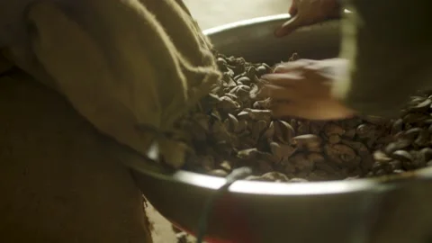 Sack of nuts Stock Footage 211823577