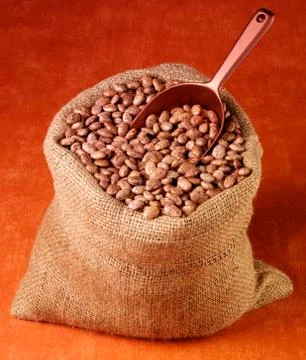 SACK OF PINTO BEANS Photos