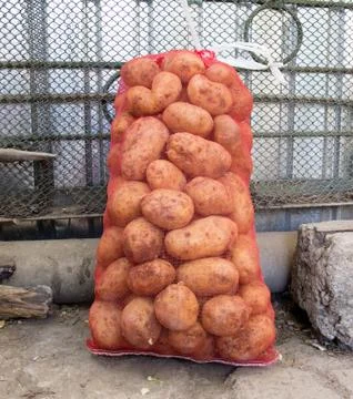 Sack of potatoes Stock Photos
