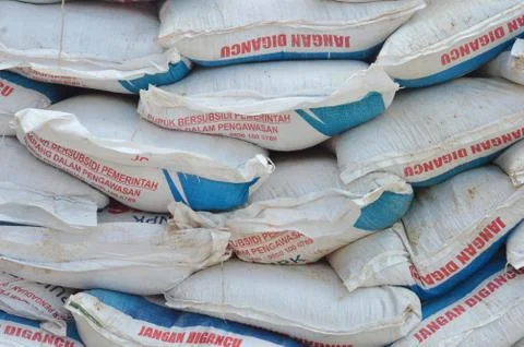 Sack of rice 库存照片