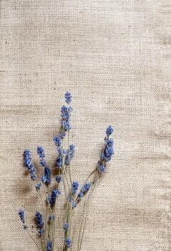 Sack texture background Stock Photos
