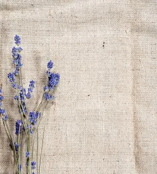 Sack texture background Stock Photos