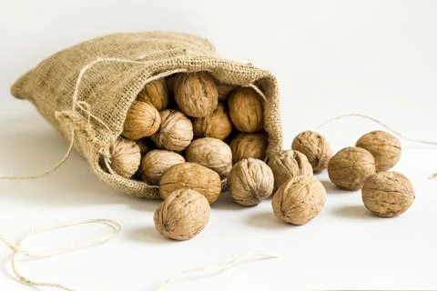 A sack of walnuts on white background Stock Photos