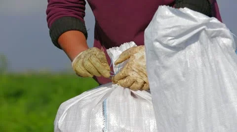 Sacks Stock-Footage 22304307