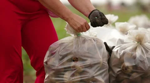 Sacks Full Of Beetroot Vídeo Stock 22278276