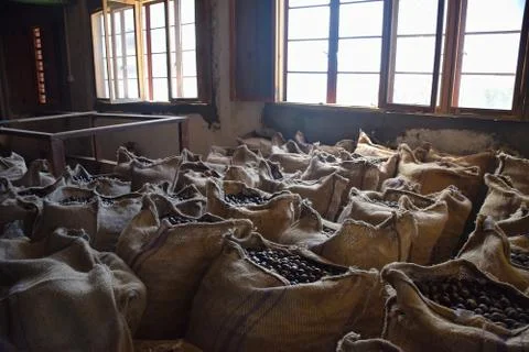 Sacks of Nutmeg in a warehouse Stock Photos