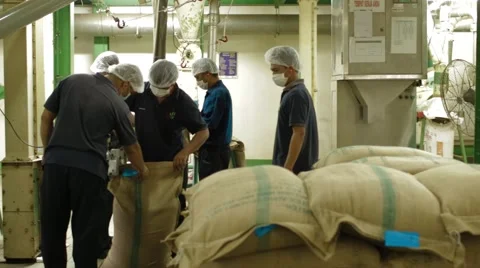 Sacks Of Pepper Prepared For Distribution Stock Footage 61490279