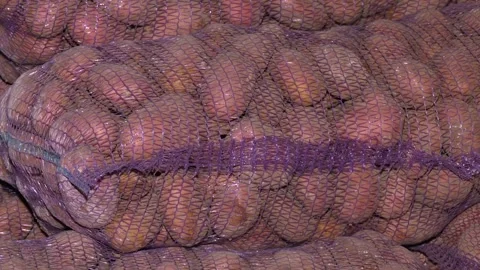 Sacks of potatoes. Stock of vegetables for the winter. Stock Footage 259504617
