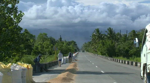 Sacks of Rice on road for drying Stock Footage 474671