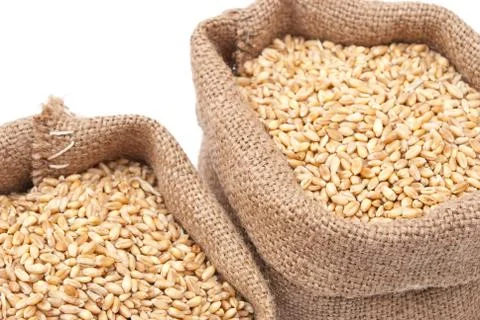 Sacks of wheat grains Stock Photos