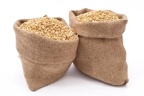 Sacks of wheat grains Stock Photos