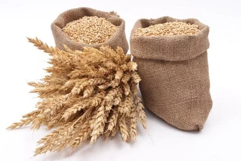 Sacks of wheat grains Stock Photos
